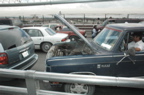 DSC_6274.JPG